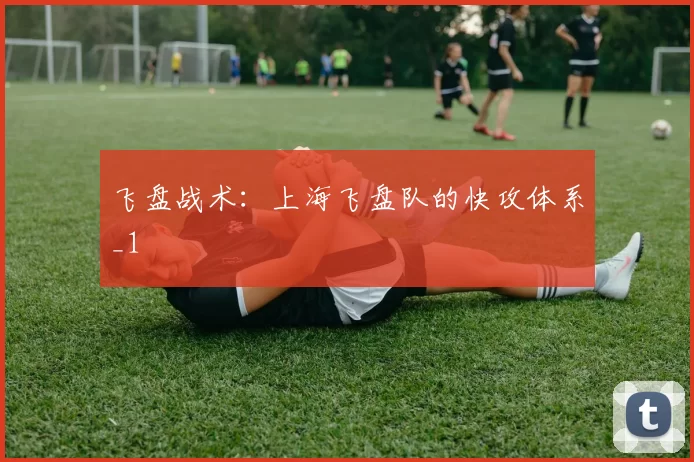 飞盘战术：上海飞盘队的快攻体系_1