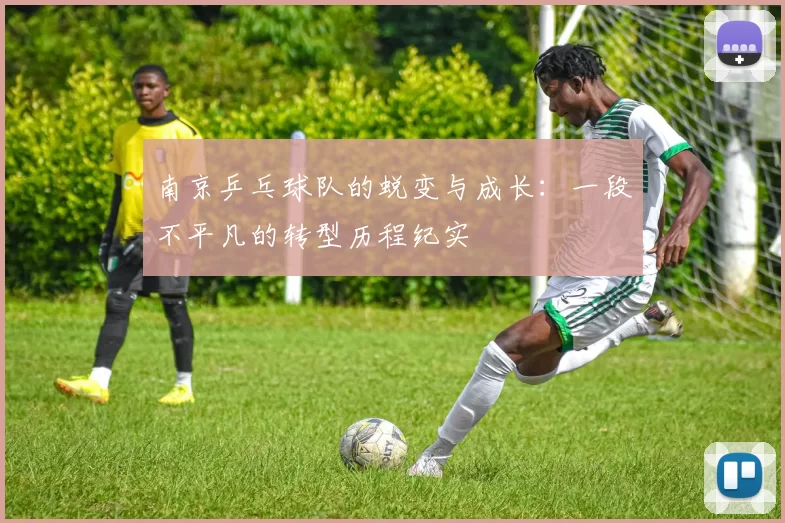 南京乒乓球队的蜕变与成长：一段不平凡的转型历程纪实