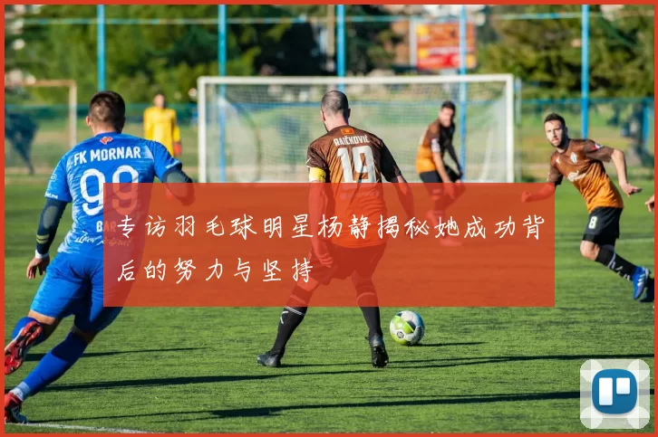 专访羽毛球明星杨静揭秘她成功背后的努力与坚持