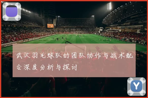 武汉羽毛球队的团队协作与战术配合深度分析与探讨